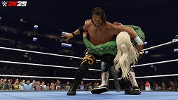 ꡼ No.003Υͥ / WWE 2K25סʱѸǡˤΥƥĥѥå1ơ֥˥塼 ѥåۿϡƥեˡХå4Ͽ