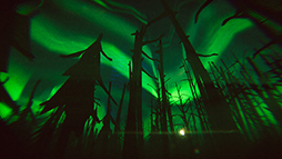 ꡼ No.012 | Static Dread: The Lighthouse