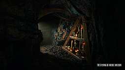 The Fading of Nicole Wilson