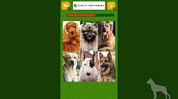 Ǿȥ졪̸꡼ΤǾȥǾ軨ضܥ