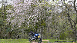 ꡼ No.012Υͥ / Ƹž⥪åŸХǼͳι褦ιADV赭5ס1βᤴܤҲ