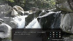 ꡼ No.029Υͥ / Ƹž⥪åŸХǼͳι褦ιADV赭5ס1βᤴܤҲ