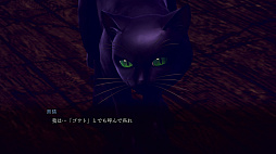 ꡼ No.009 | RAIDOU Remastered: ĶʼĴ