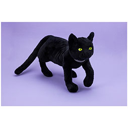 画像ギャラリー No.007のサムネイル画像 / 「RAIDOU VS 真・女神転生V Vengeance スペシャルライブ」，8月23日に横浜ベイホールで開催。各タイトルの楽曲をバンドの生演奏で楽しめる