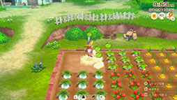 ꡼ No.009Υͥ / Ҿʪ Let'sΥɥХסҾδܤȤʤʪưʪΰ˴ؤ󤬸