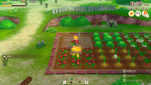 ꡼ No.010Υͥ / Ҿʪ Let'sΥɥХסҾδܤȤʤʪưʪΰ˴ؤ󤬸