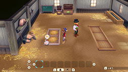 ꡼ No.011Υͥ / Ҿʪ Let'sΥɥХסҾδܤȤʤʪưʪΰ˴ؤ󤬸