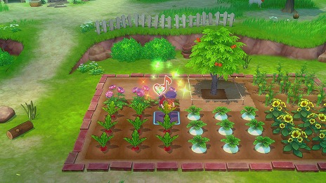 ꡼ No.011Υͥ / Ҿʪ Let'sΥɥХȯ䡣ޤĤޤˤȯ䵭ǰ饹Ȥȥ쥤顼