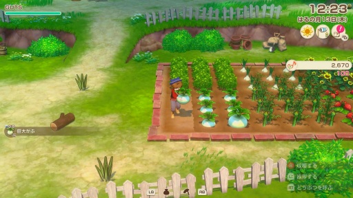 ꡼ No.005Υͥ / ˿ǥΤΥҥҥ硼 853̴ޤ