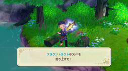 ꡼ No.007Υͥ / Ҿʪ Let'sΥɥХסPCǤ20󥪥դǽ饻롣̵åץǡȡVer.1.2.0ˤ»