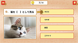 ꡼ No.002 | Τˤ󤳤Ȥ虜ǭͥλضܥȥӥؽƦμƥȡ