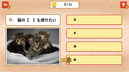 ꡼ No.004 | Τˤ󤳤Ȥ虜ǭͥλضܥȥӥؽƦμƥȡ