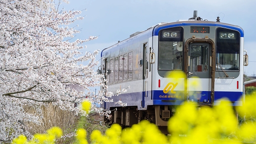 ꡼ No.006Υͥ / A֤ǹԤ9 Version5.0 ξå 3rdסϿξҲưꥸʥإåɥޡǽ֤ΤŴƻǱԷ