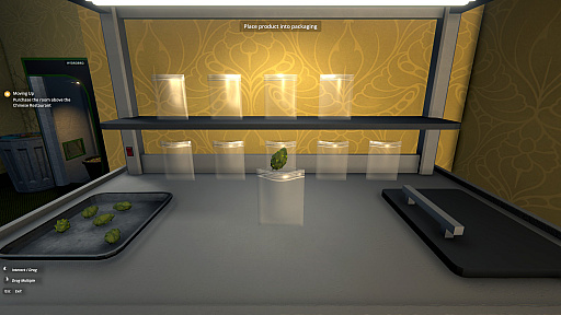 ���������꡼ No.004�Υ���ͥ������ / �Υץ쥤��ݡϾ����ʼ������Ϥޤ��������ؤ�ƻ�Τꡣ��ˡ�ӥ��ͥ��κ�����������Schedule I��