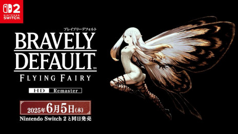 ꡼ No.011Υͥ / ֥֥쥤֥꡼ǥե ե饤󥰥ե꡼ HDޥפNintendo Switch 2Ʊ65ȯ