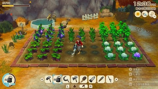 ���������꡼ No.009�Υ���ͥ������ / ��ζ�ι� �롼��ե����ȥ꡼�פ���Ҿ�ʪ�� Let's�����Υ����ɥХ�����פ������ʲ��ʤˡ��ޡ��٥饹������80�󥪥դΡֿ��ե�����פ򳫻�