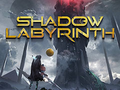 ѥåޥơޤȤ2DShadow Labyrinthסȯ䡣ѤǡŨ餤ʤ鼫α̿ڤ