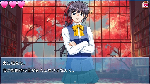 ꡼ No.004Υͥ / ǻ衩PCۥ顼ADVH9:ORIGINסۿϡγȯǵο