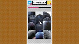 Ǿ�ȥ쥯���� ��ʪ��õ��������������ä���Ǿ�襢�ϳ軨�ض��ܿ��ǥƥ��ȡ�