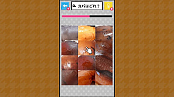 Ǿ�ȥ쥯���� ��ʪ��õ��������������ä���Ǿ�襢�ϳ軨�ض��ܿ��ǥƥ��ȡ�