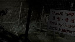 ꡼ No.002 | Scarred