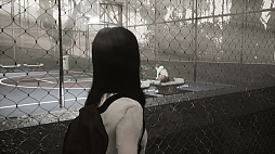 ꡼ No.010 | Scarred