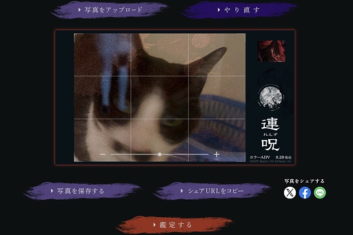 ꡼ No.002Υͥ / ۥ顼ADVϢסȤǡֿ̿᡼פʬƤ̿λѤ⤫Ӿ夬