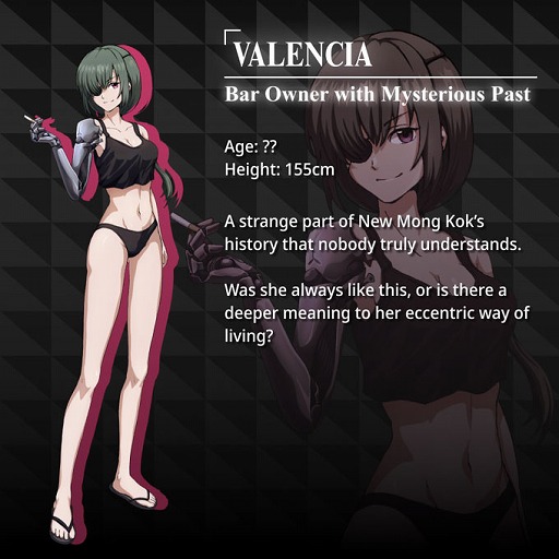 ���������꡼ No.009�Υ���ͥ������ / VR�ʥ�ƥ��֥��ɥ٥���㡼��PROJECT MIX�ס����饦�ɥե���ǥ��󥰤򳫻ϡ���4���֤�1000���ߤ�����