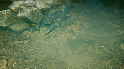 ꡼ No.014 | Ultimate Fishing Simulator 2