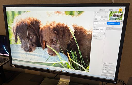 ���������꡼ No.006�Υ���ͥ������ / Intel��������CPU��Panther Lake�פ�ư��ǥ����Ϫ�����PC��2026ǯ��Ƭ���о�ͽ��