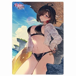 ꡼ No.014Υͥ / ֿβ3סNINJA GAIDEN 4ס̵֥ ﵭפλͷ֡ƥ⥲ॹॷ祦2025׽Ÿ