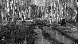 ꡼ No.004 | ʤΥѥȥ