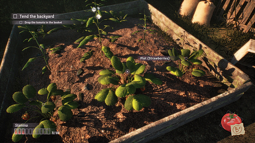 ꡼ No.003Υͥ / 塼Ȥʥ饯ȥꥢԵ̣ʾʤ¸Summer Game Festȯɽ줿ФΥɥ٥㡼Fractured Bloomsפץ쥤