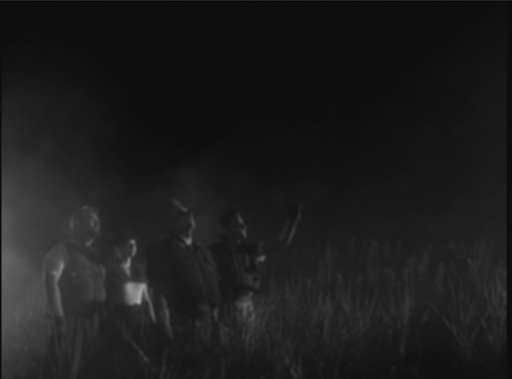 ���������꡼ No.006�Υ���ͥ������ / �֥Х����ϥ����ɡפϤ⤦����30��ǯ�� 1996ǯ�������������꡼����1������ॷ����ˤ⤿�餷�����