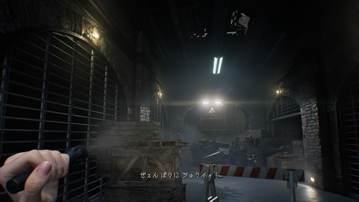 画像ギャラリー No.032のサムネイル画像 / ［プレイレポ］「バイオハザード レクイエム」は挑戦を恐れぬ意欲作。逃げ隠れする恐怖と立ち向かう爽快感，両極の楽しさが交錯する