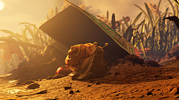 ꡼ No.002 | Grounded 2