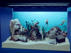 ����ǥޥå������������ϡʡ��˥�����֥ޥ���ꥦ�� -Muscle Aquarium Simulator-��Switch�Ǥ�6��19����ȯ��