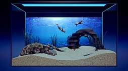 �ޥ���ꥦ�� -Muscle Aquarium Simulator-