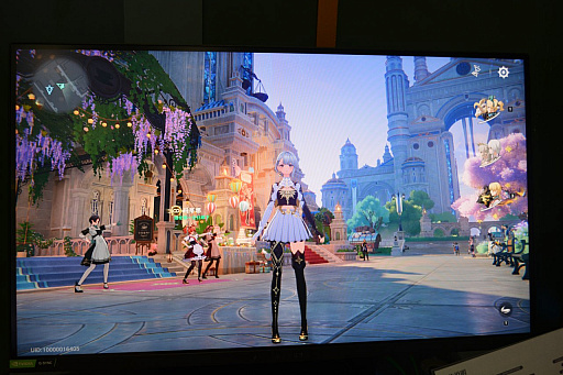 ꡼ No.015Υͥ / Υץ쥤ݡϥ˥Ĵեåǥ󡣡Rewinding CadenceפƮĤ