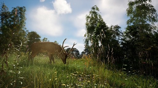 ꡼ No.004 | DREADZONE