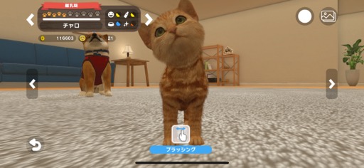 ���������꡼ No.003�Υ���ͥ������ / ���˥��Ȥ��ĤǤ������餻�빬�����ڥåȤȥ��ߥ�˥���������ڤ�����with My Buddy�סʺ�������Ϥ��Apple Arcade #38��