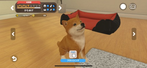 ���������꡼ No.004�Υ���ͥ������ / ���˥��Ȥ��ĤǤ������餻�빬�����ڥåȤȥ��ߥ�˥���������ڤ�����with My Buddy�סʺ�������Ϥ��Apple Arcade #38��