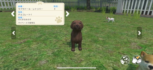 ���������꡼ No.006�Υ���ͥ������ / ���˥��Ȥ��ĤǤ������餻�빬�����ڥåȤȥ��ߥ�˥���������ڤ�����with My Buddy�סʺ�������Ϥ��Apple Arcade #38��