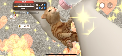 ���������꡼ No.013�Υ���ͥ������ / ���˥��Ȥ��ĤǤ������餻�빬�����ڥåȤȥ��ߥ�˥���������ڤ�����with My Buddy�סʺ�������Ϥ��Apple Arcade #38��