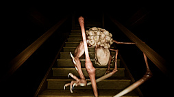 ꡼ No.006 | Dead by Backrooms Anomaly