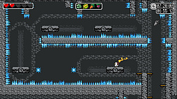 ꡼ No.005 | The Duck Amikaze Strikes Back