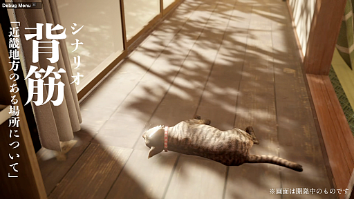 画像ギャラリー No.003のサムネイル画像 / 「近畿地方のある場所について」著者がシナリオを手掛ける,猫が主人公のホラーゲーム「まだ猫は逃げますか?」,10月27日に発売