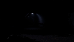 Test of Fear | �λ�����