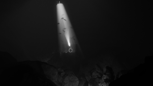 画像ギャラリー No.012のサムネイル画像 / スラヴの民間伝承を体験できるフォークホラーADV「ひとつ目のリーホ」本日配信。リリーストレイラーも公開