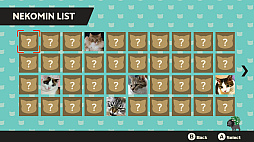 ͥߥKittens invasion